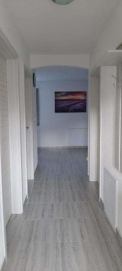 Apartman Karolina Rudanovac Экстерьер фото